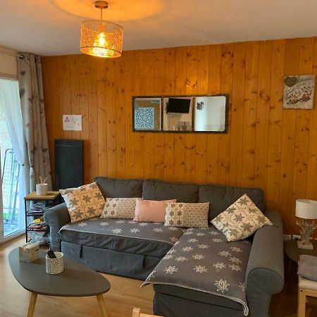 Appartement Tt Confort Au Coeur Des Montagnes Avec Vue Sur Les Montagnes Wifi リュス・サン・ソヴァール エクステリア 写真